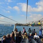 Bosphorus Boat Tour 3 Hour with Asian Side Stop in Istanbul - Who Is This Tour Best For?