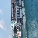 Bosphorus Cruise With Dolmabahçe Palace and Fortresses - What Travelers Say and Why It Matters