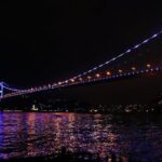 Bosphorus Dinner Cruise & Turkish Night Show (All Inclusive) - The Food and Drinks
