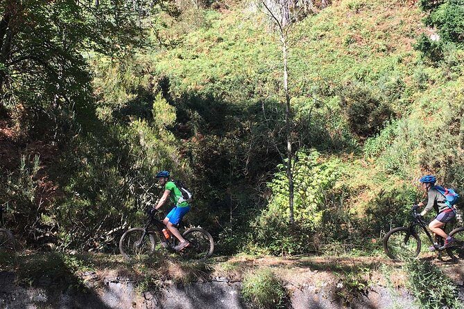 Botanical Trails of Madeira. Mountain biking Trail Experience - What’s Included and What to Keep in Mind