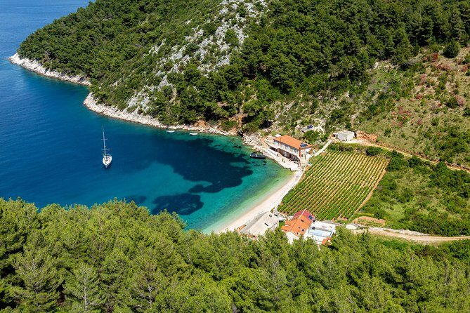 Brac, Hvar, & Solta Day Trip: Snorkeling, Wine & Lunch from Split - What Travelers Love About This Tour