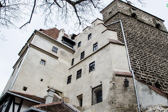 Bran Castle, Bear Sanctuary, and Rasnov Fortress Half Day Tour - Who Is This Tour Best For?