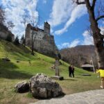 Bran Castle & Bear Sanctuary from Brasov - Optional Peles Castle - Who Should Consider This Tour?