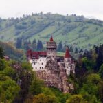 Bran Castle Entry Tickets - The Experience: What to Expect