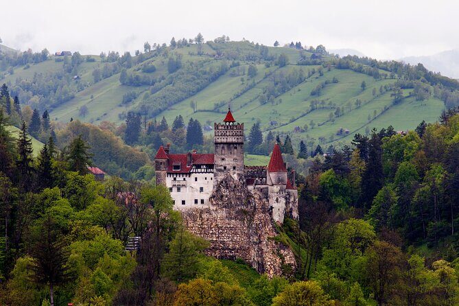 Bran Castle Entry Tickets - The Experience: What to Expect