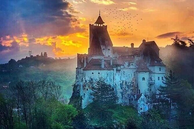 Bran Castle, Rasnov Fortress, Harman & Prejmer Fortified Churches Day Tour - What’s Included and What’s Not?