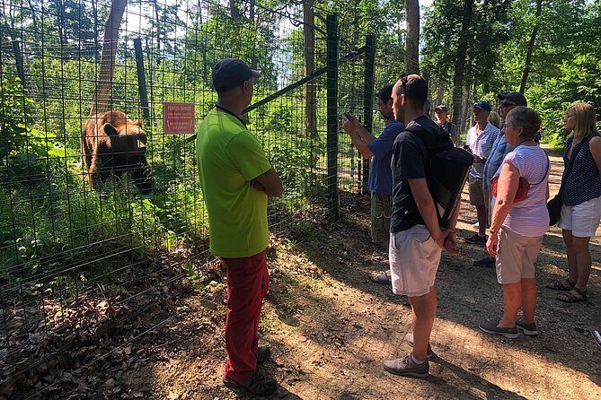 Bran (Dracula) Castle, Bear Sanctuary, Rasnov Fortress & Palinca Distillery - Final Thoughts