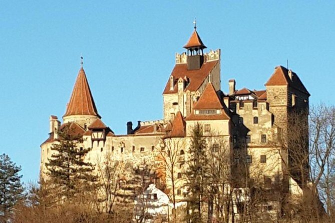 Brasov: Peles Castle, Bran Castles and Rasnov Fortress Day Tour - The Value Proposition