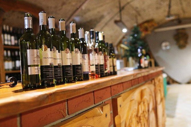 Bratislava 3-Hour Wine Tasting - What to Expect from the Tour