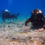 BRELA Bikini Dive *Try SCUBA DIVING* - What You Can Expect During the Tour
