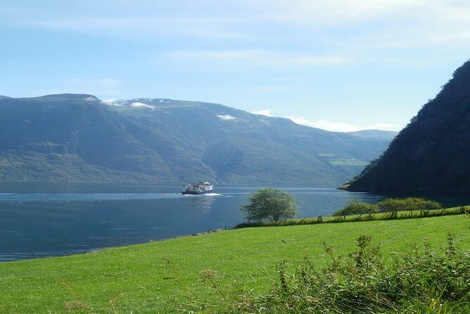 Bride's Veil and Steinsdalsfossen waterfalls with sceneries of Hardanger Fjord - Who Is This Tour Best Suited For?