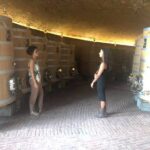Brunello di Montalcino Wine Tour of 2 Wineries with Pairing Lunch - A Word on Value and Experience Quality