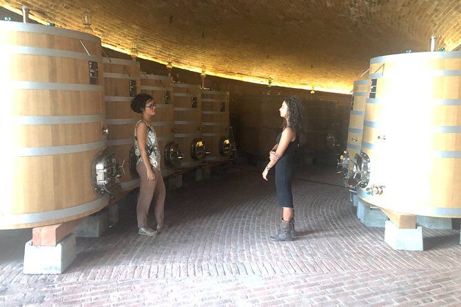 Brunello di Montalcino Wine Tour of 2 Wineries with Pairing Lunch - A Word on Value and Experience Quality