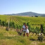 Brunello Vineyards Bus Tour - Who Will Love This Tour?