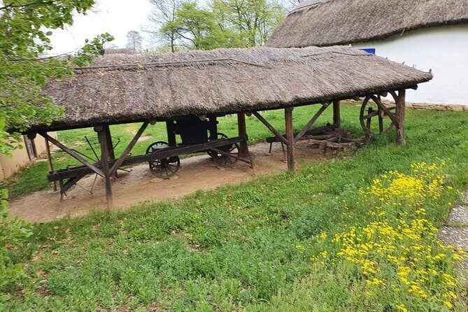 Bucharest Private Tour with Dracula's Grave and Ceauescu Mansion - The Itinerary Breakdown: What You’ll See and Experience