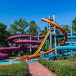 Budapest Palatinus Bath Full-Day Admission - A Deep Dive into the Palatinus Bath Experience