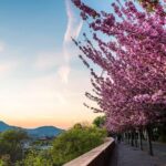 Budapest Private Walking Tour - The Highlights and Sights