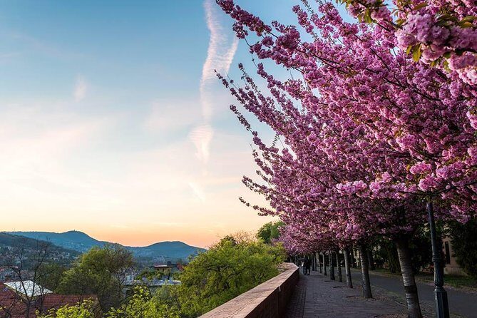Budapest Private Walking Tour - The Highlights and Sights