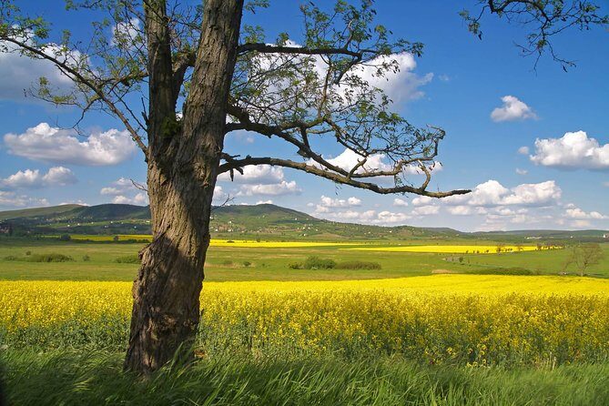 Budapest-Vienna One-Way Sightseeing Transfer - Esztergom Basilica: A Grandeur of Sacral Architecture