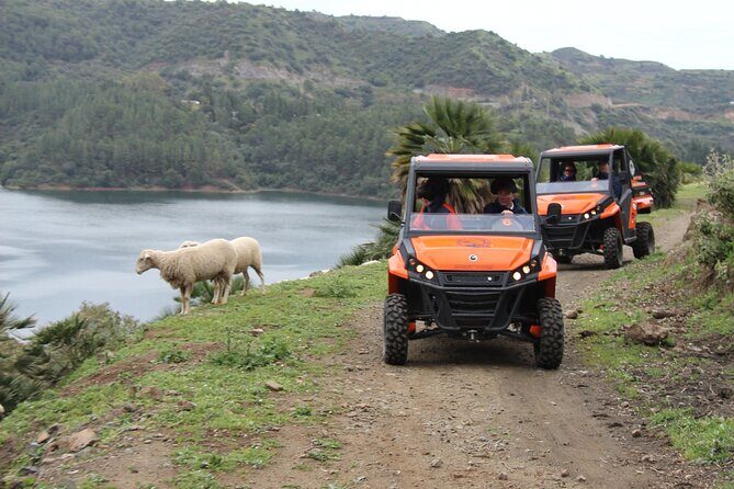 Buggy Adventure with Incredible Views of the Sea and the Reservoir - Who Would Love This Tour?
