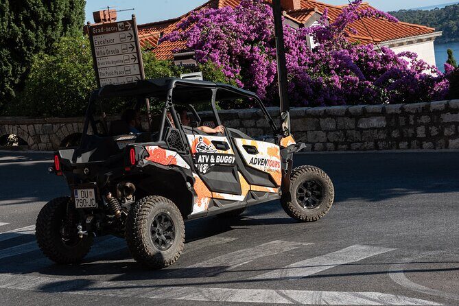 Buggy Dubrovnik Panorama Tour (Private) - The Experience and What You Can Expect