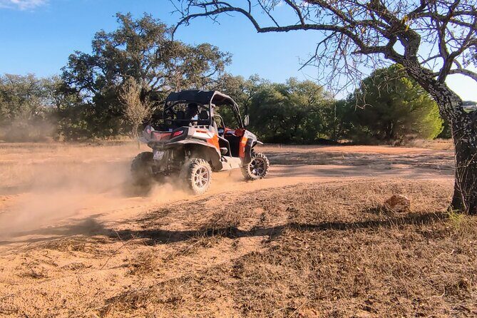 Buggy Expedition - Half-Day Off-Road Guided Tour from Albufeira - Exploring the Algarve with a Buggy Adventure: A Detailed Review