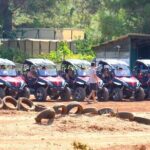 Buggy Safari for 2 people - Authentic Feedback from Past Travelers