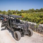 Buggy Safari With Wine Tasting - Why This Tour Might Be Worth It