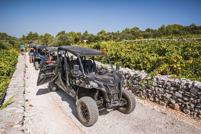 Buggy Safari With Wine Tasting - Why This Tour Might Be Worth It