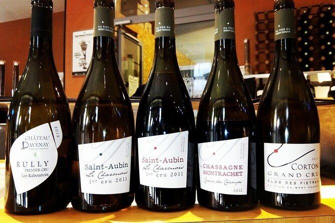 Burgundy Bike Tour with Wine Tasting from Beaune - Real Experiences from Participants