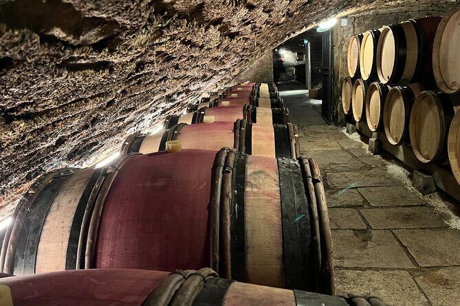 Burgundy Grand Crus Route Day Tour - 14 Wines Tastings in Domains - Transportation and Timing