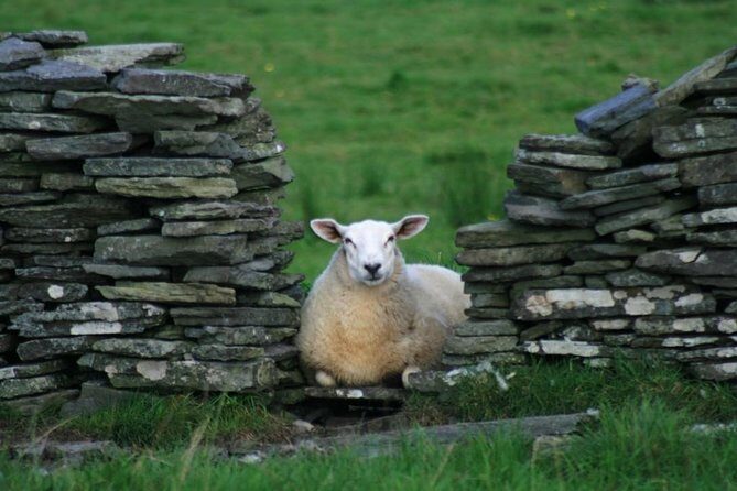 Burren Guided Electric Bike tour with Poulnabrone Portal Tomb - Who Will Love This Tour?