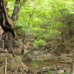 Butterflies Valley & Chalki from Rhodes - Practical considerations