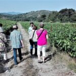 Butterflies Valley & Wine Tasting Experience Private Tour - Navigating the Experience