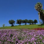 Cabo Girão & mountains 4x4 tour - The Real Experience: What Travelers Say