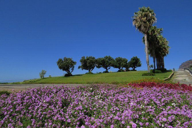 Cabo Girão & mountains 4x4 tour - The Real Experience: What Travelers Say