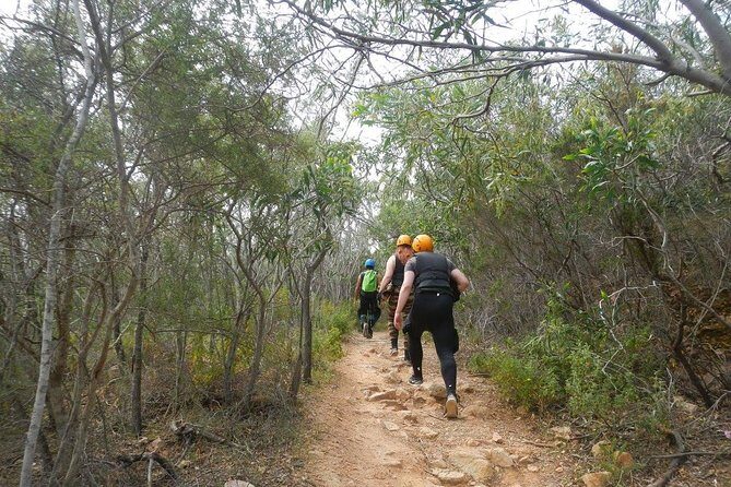Cagliari Shore Excursion: Professional Guided Coasteering - The Value and Price