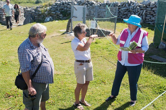 Caherconnell Fort & Sheepdog Demonstrations - Final Thoughts: Is It Worth It?