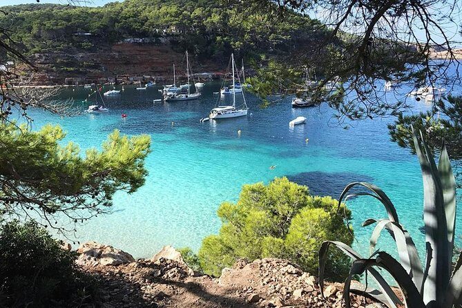 Cala Salada and Unspoiled North Beach Tour. Snorkelling and Aquarium - What’s Included and What to Expect