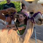 Calabrian Alpacas Sunset Beach Experiences Pizzo VV AlpacSelfies - Who Is This Tour Best For?