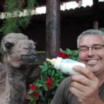 Camel Ride in Fataga with Tapas and drinks - The Animal Encounters and Park Highlights