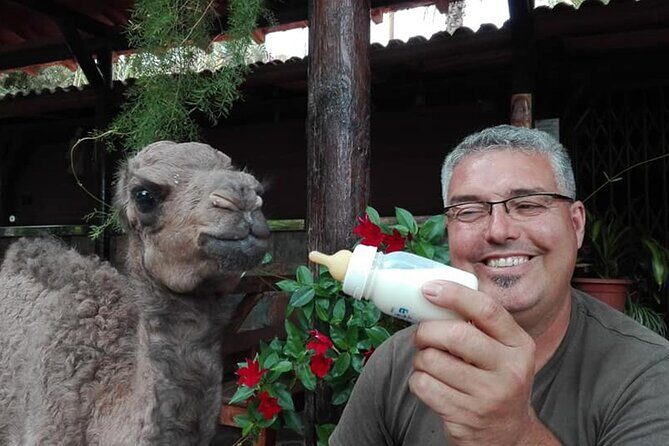 Camel Ride in Fataga with Tapas and drinks - The Animal Encounters and Park Highlights