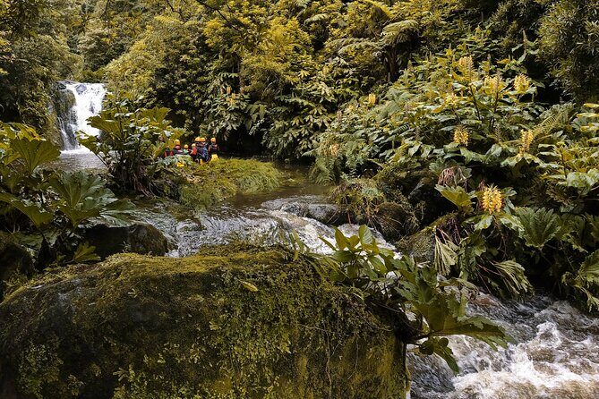 Canyoning Adventure in Ribeira da Salga (Sao Miguel - Azores) - What Is This Canyoning Adventure All About?
