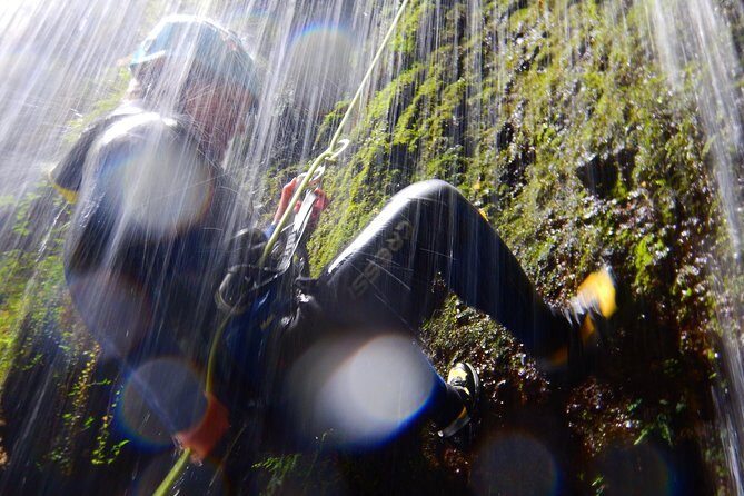 Canyoning Experience - half day - The Activities: A Balanced Mix of Adventure and Nature