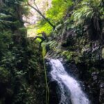 Canyoning Madeira Island - Level Two - Is This Canyoning Tour Worth the Price?