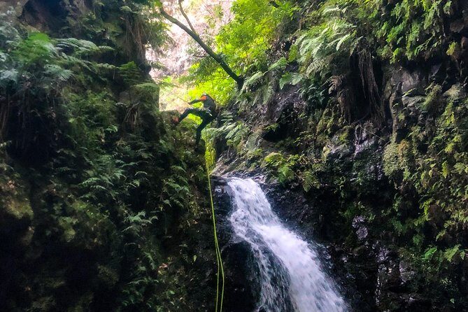 Canyoning Madeira Island - Level Two - Is This Canyoning Tour Worth the Price?