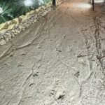 CANYONS & CAVE Tour from Kutaisi - Okatse, Martvili & Prometheus - Who Is This Tour Best For?