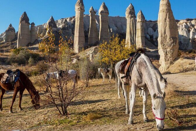 Cappadocia Horse Riding Experience Sunrise Sunset Daytime - Who Is This Tour Best For?