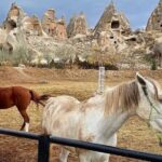 Cappadocia Horseback Riding Tour (Transfer Included) - The Ride Itself: A Closer Look