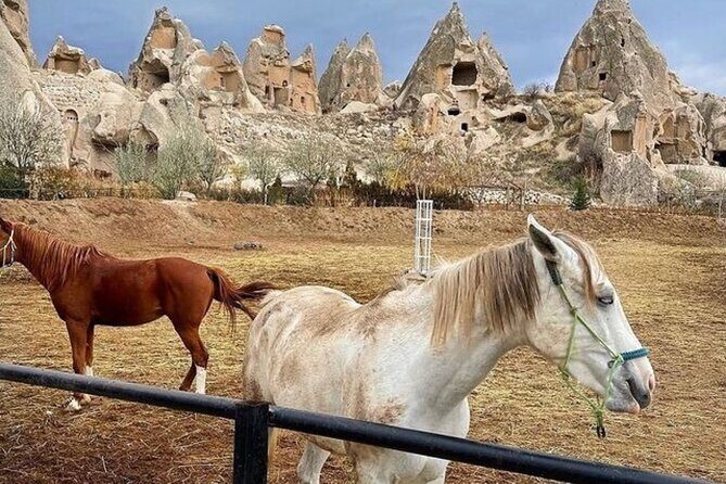 Cappadocia Horseback Riding Tour (Transfer Included) - The Ride Itself: A Closer Look